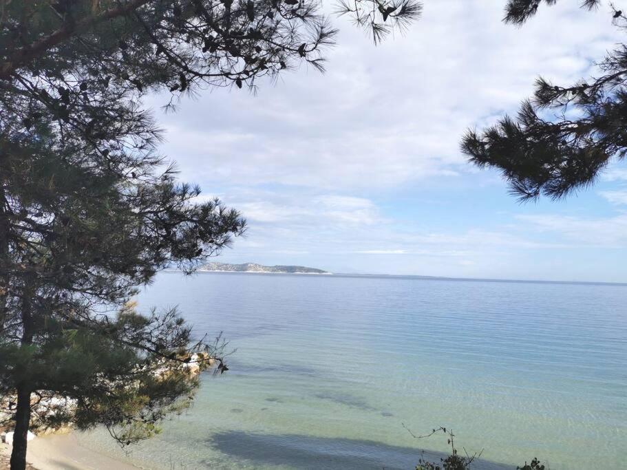 Central Thassos Apartment 3 Экстерьер фото